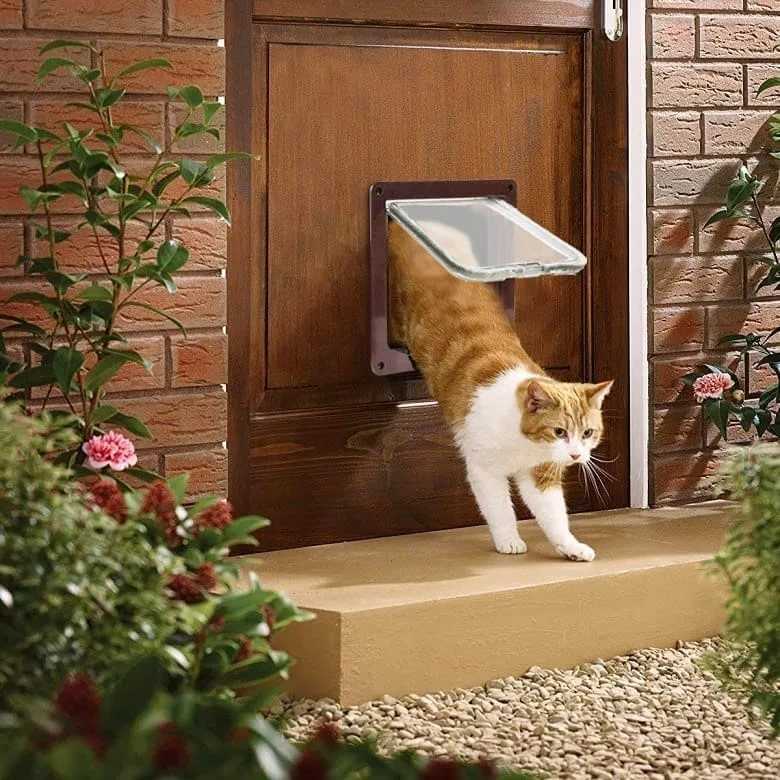 Дверца для кошек в дверь своими руками: как сделать лаз для кота?