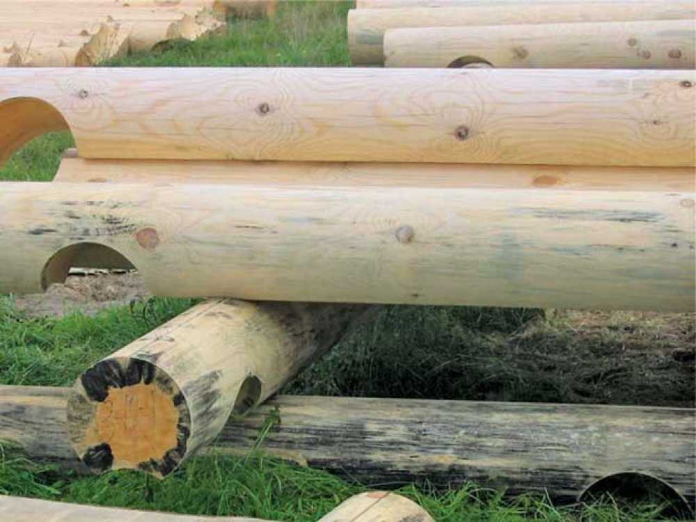 Отбеливание древесины: когда, как, выбор средства, способы, технология, порядок работ