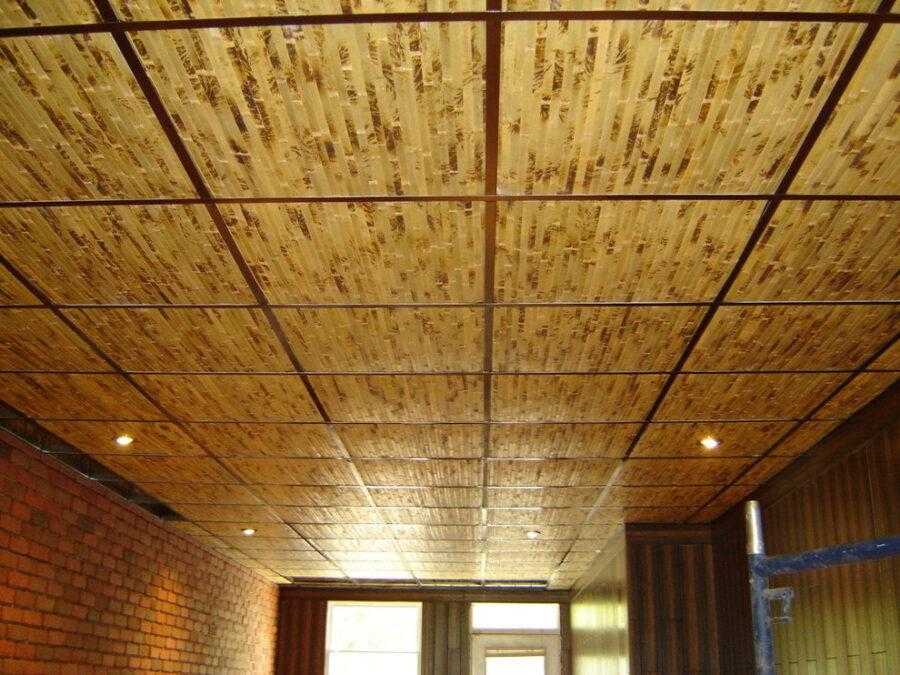 Описание различных видов потолочного покрытия