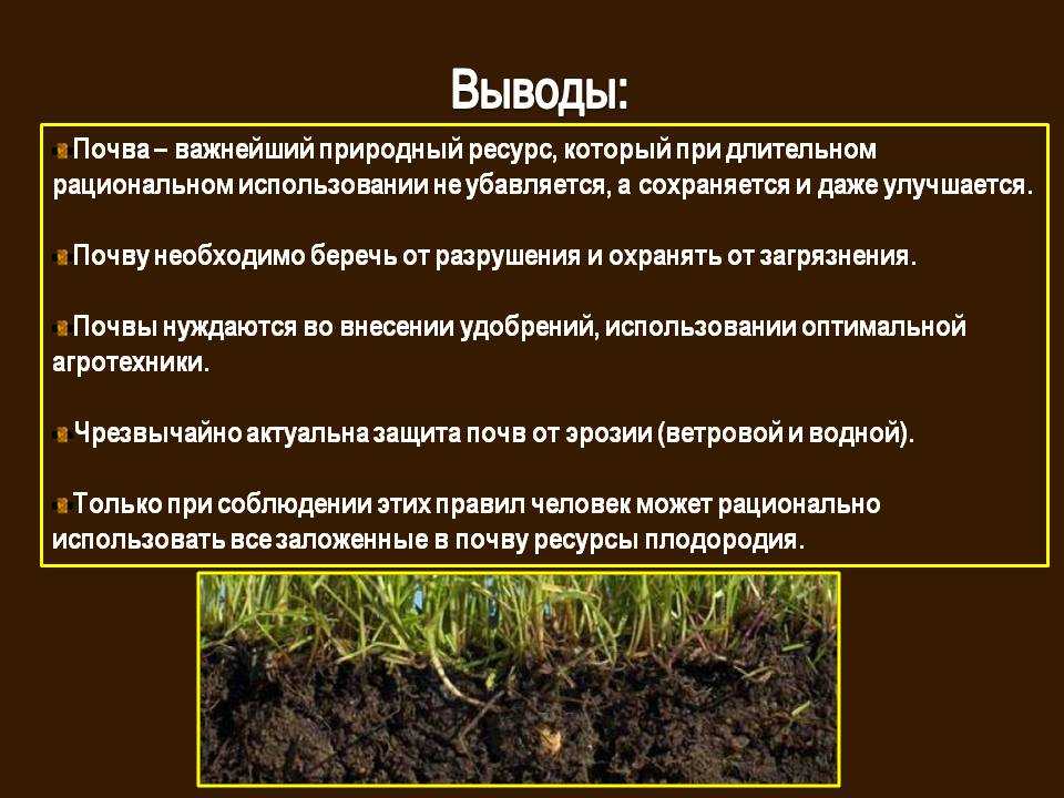 Какие наблюдения нужно проводить карине. Сохранение почвы. Способы сохранения плодородия почвы. Охрана почвы. Почва охрана почвы.