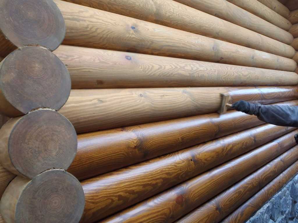 Как отбелить древесину в домашних условиях