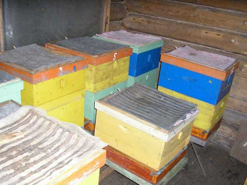 Как построить омшаник для пчел своими руками, особенности устройства зимовника