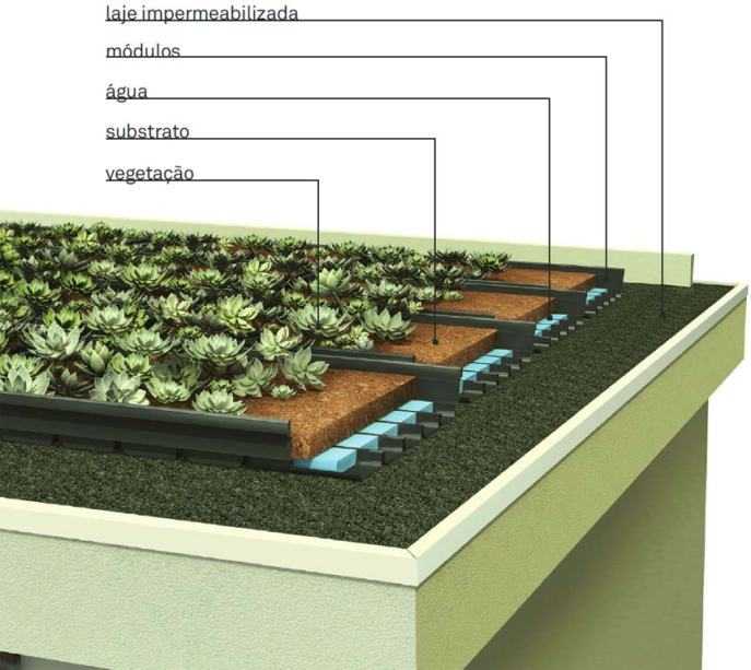 Озеленение крыш по надежной технологии zinco