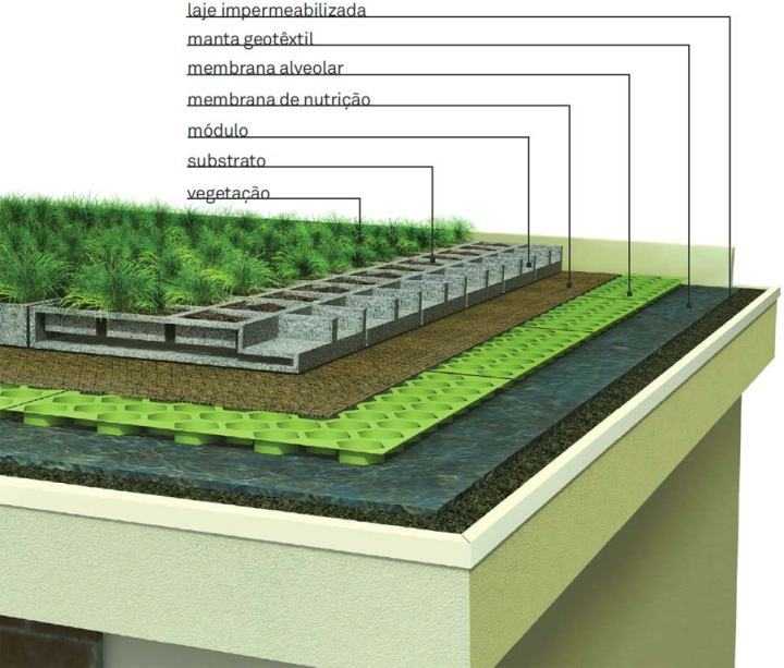 Зеленая крыша: как сделать стильную и актуальную эко-крышу своими руками