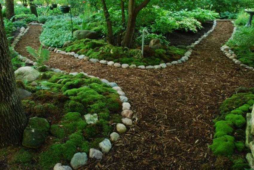 Декоративный мох для сада: выбор и современные идеи применения при оформлении сада (140 фото)