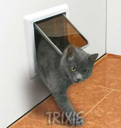 Дверца для кошек в дверь своими руками: как сделать лаз для кота?