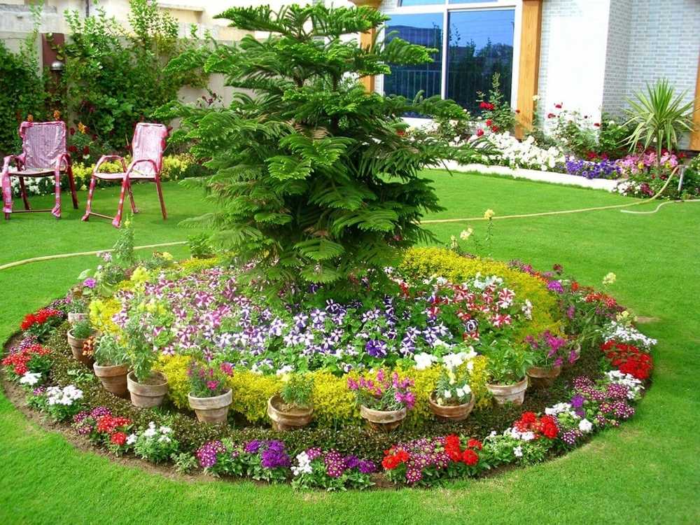Обширный каталог многолетних цветов для дачи: фото с названиями для дачников и садоводов Особенности растений для создания красивых клумб, посадка и уход