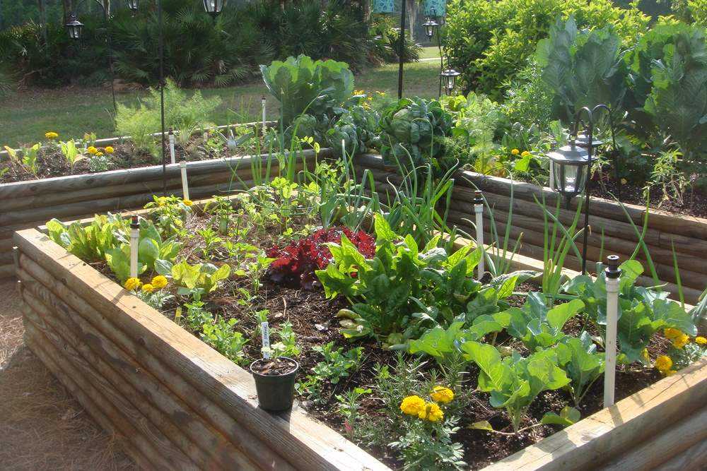 Ленивый сад и огород 🚿 создаем своими руками — фото необычных и практичных решений