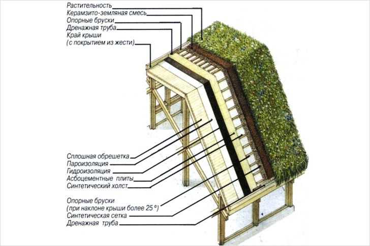 “зелёная” (травяная) крыша