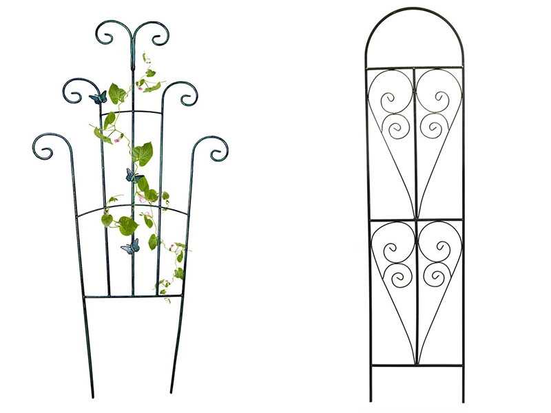 Разновидности цветущих лиан - сад и клумба