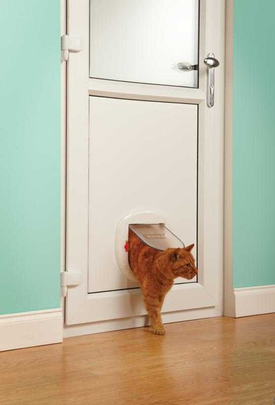 Установка дверцы для кошек в дверь