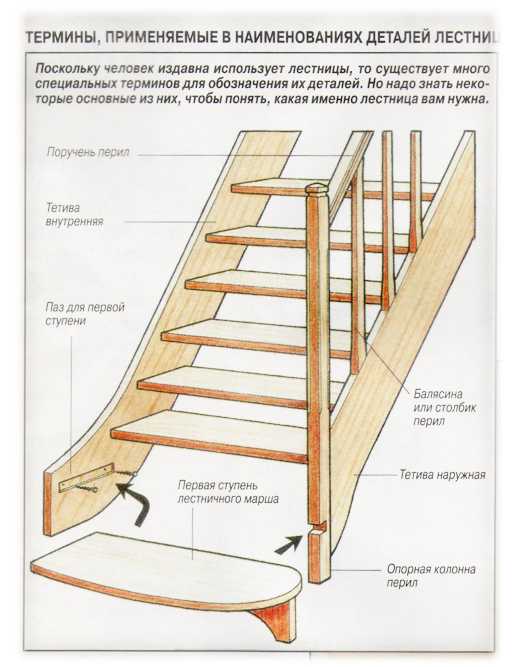 Все о деревянных лестницах в доме