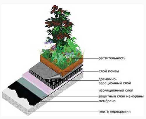 Зелёная крыша своими руками — технология и особенности (видео, фото)