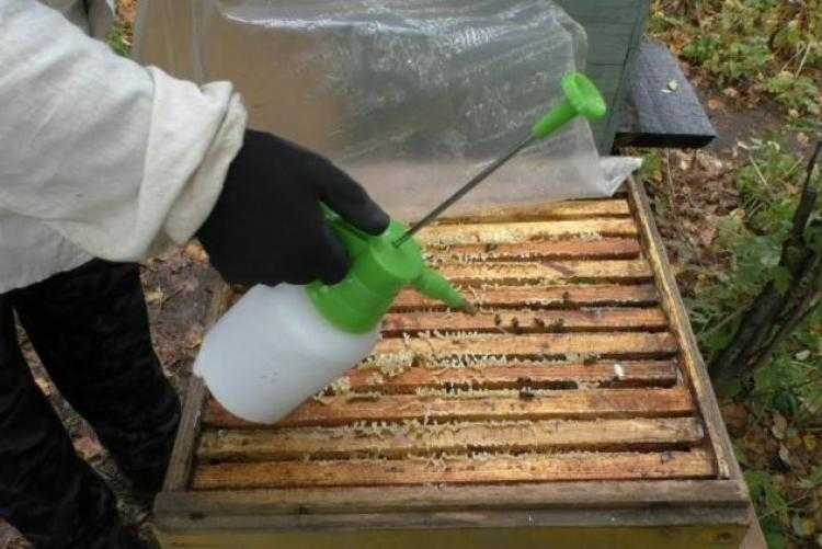 Виды весенних работ с пчелами и методика их проведения на пасеке