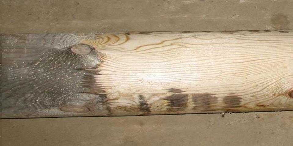 Отбеливатель для древесины сделать самому. как отбелить срубы дерева своими руками