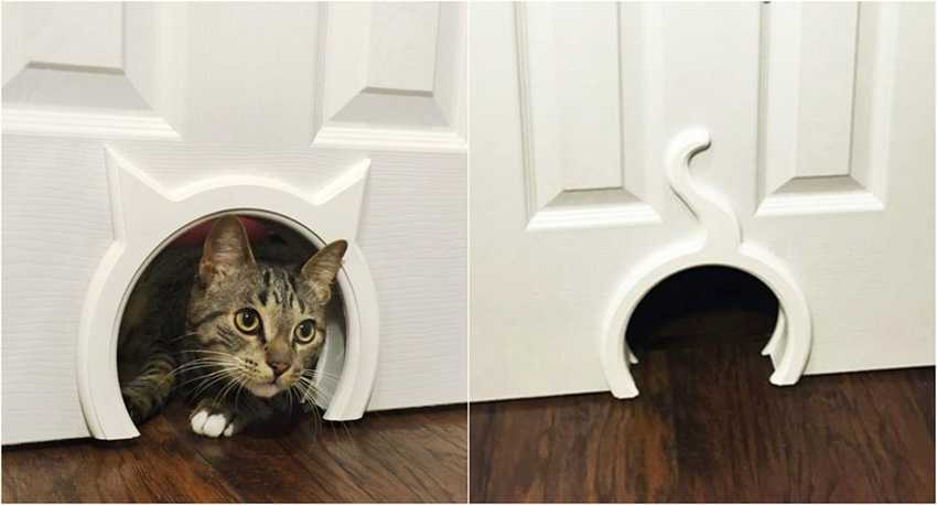 Лаз для кошки в двери – свобода перемещения животного