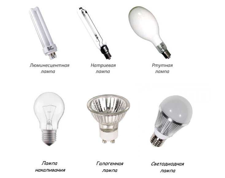 Все виды лампочек для дома разновидности фото