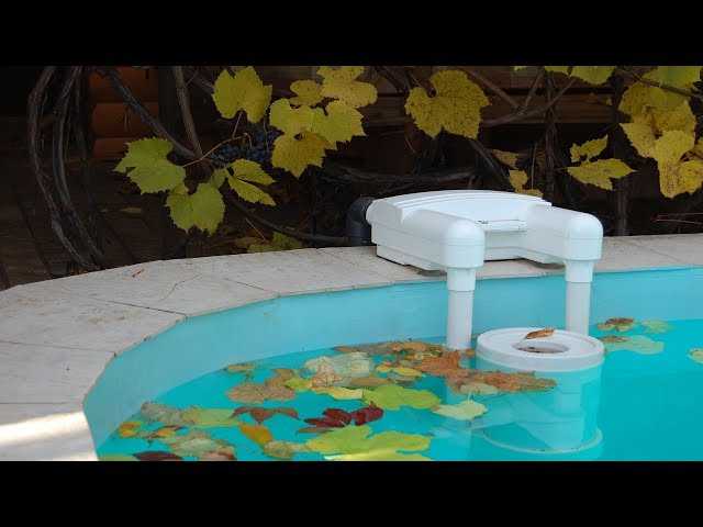 Как добиться кристально чистой воды в бассейне? на сайте недвио