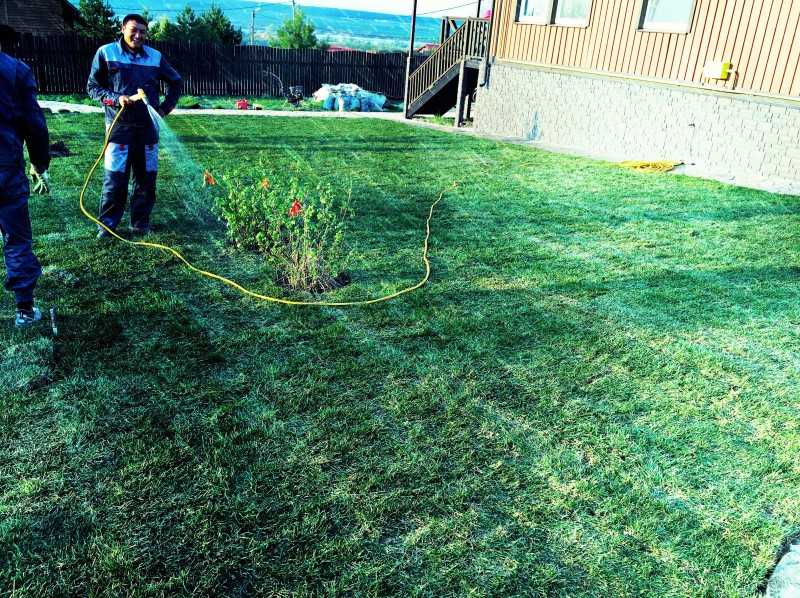 Как правильно сделать красивый газон 🎍 во дворе и на даче своими руками — пошаговая инструкция посадки травы осенью