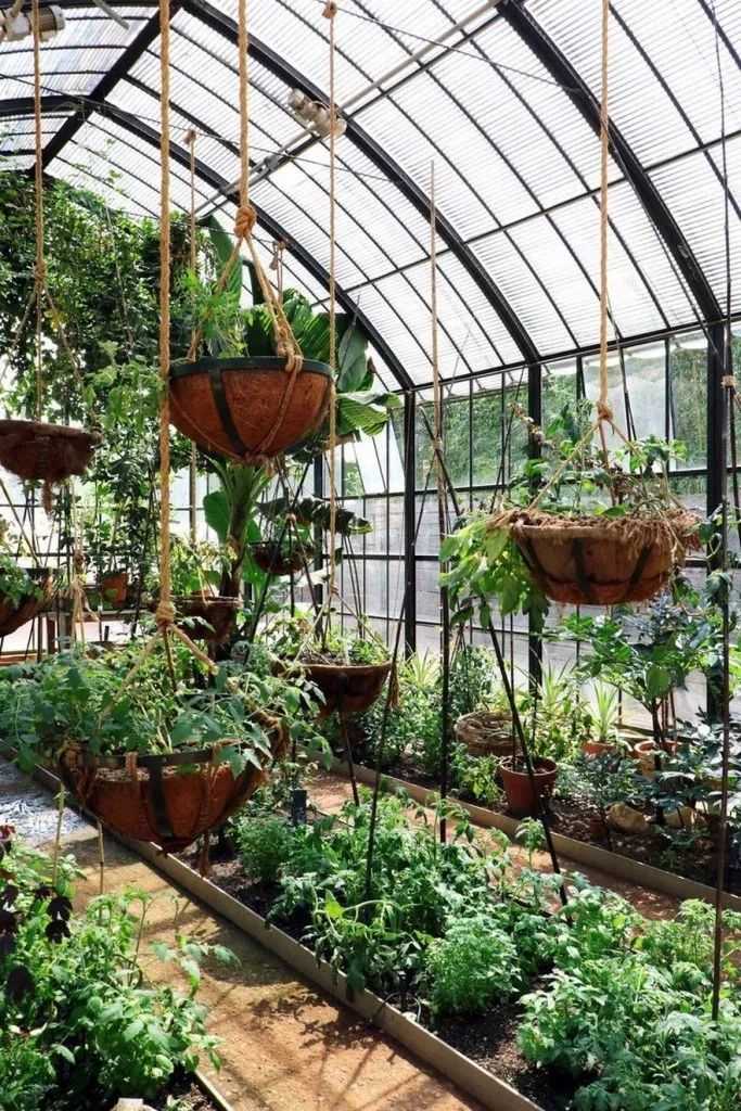 Как сделать оранжерею, где ее разместить и как ухаживать за растениями