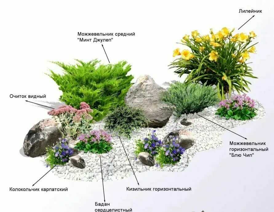 Растения для альпийской горки - особенности выбора, требования к составлению композиций и размещению
