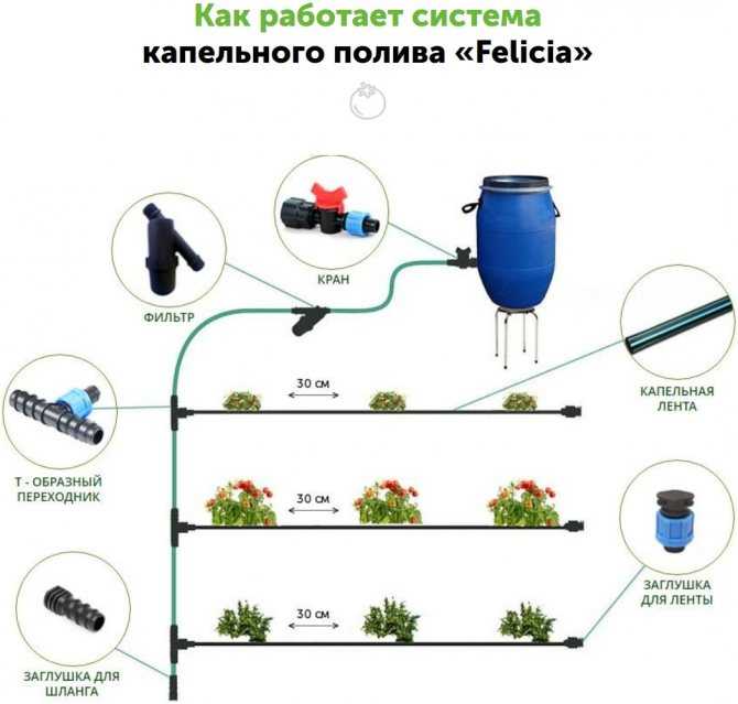 ✅ как установить бочку для полива в теплице. капельный метод полива в теплицах - живой-сад.рф