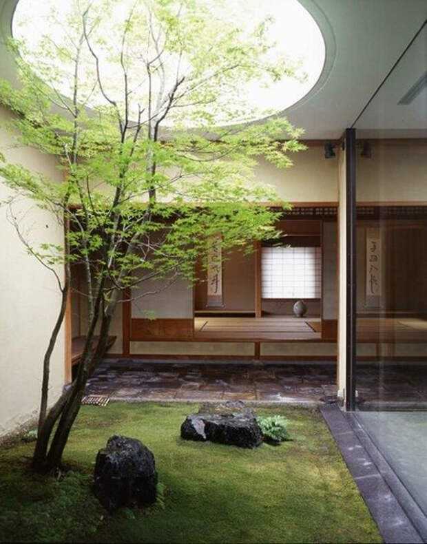 Сад камней. японский сад камней - философия, назначение, устройство
