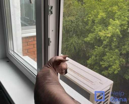 Защитная москитная сетка на окна для безопасности кошек - wlcat.ru