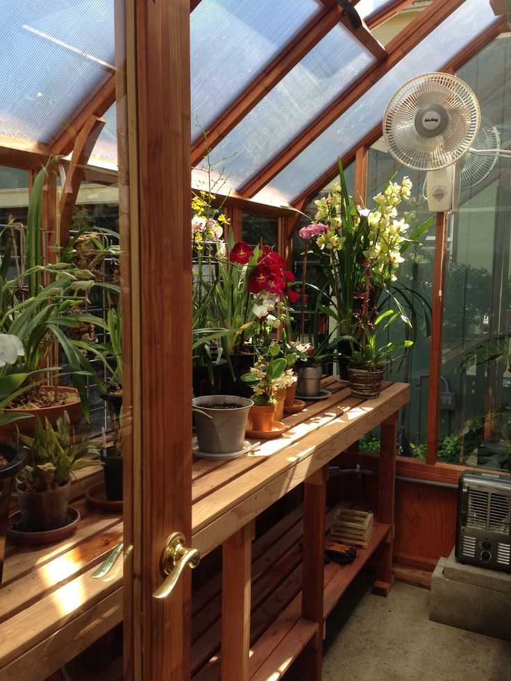 Зимний сад в квартире (46 фото): как сделать зимний сад на балконе, особенности обустройства домашней оранжереи своими руками на лоджии