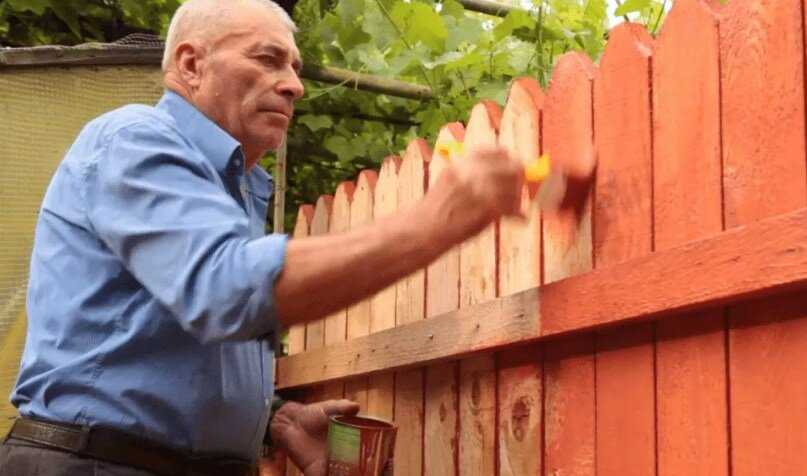 Чем и как лучше покрасить деревянный забор надолго