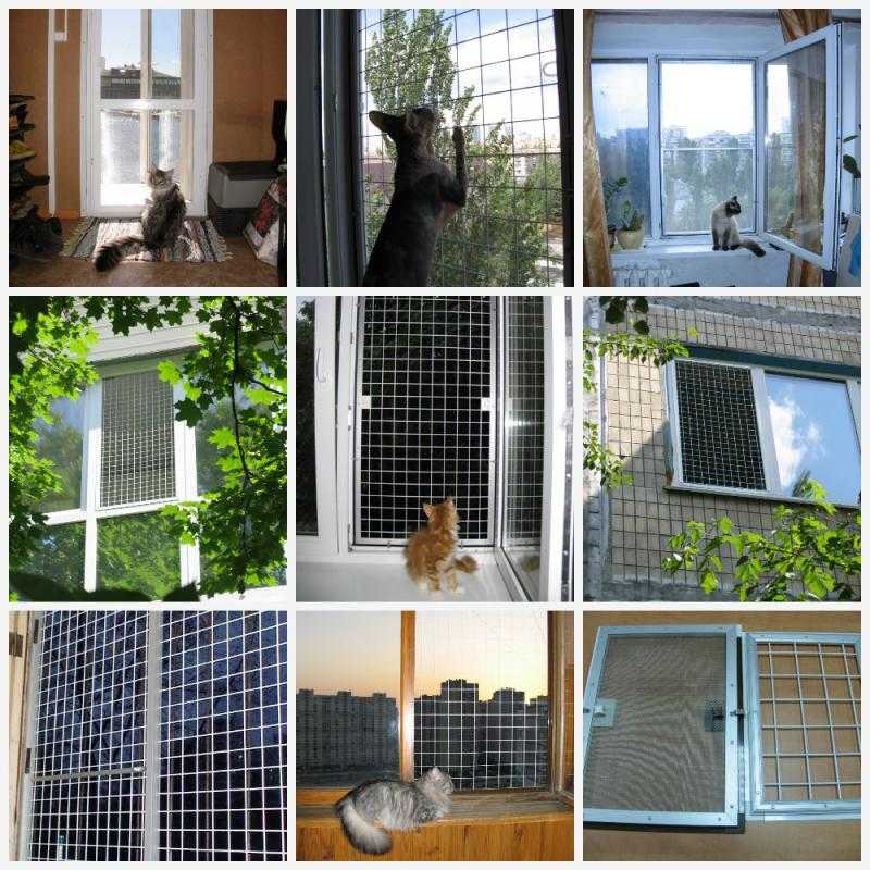 Как выбрать и установить сетку на окна для кошек: варианты решения проблемы