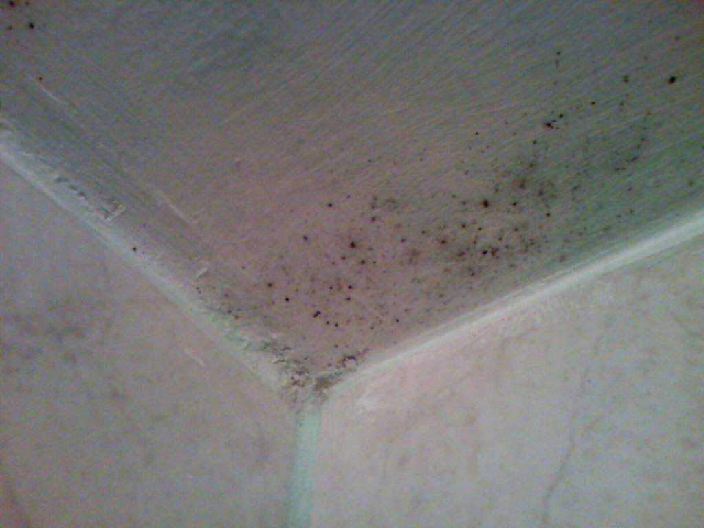 Как избавиться от плесени  на потолке, в ванной комнате ?
